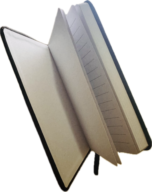 GOLD BABY mini notebook