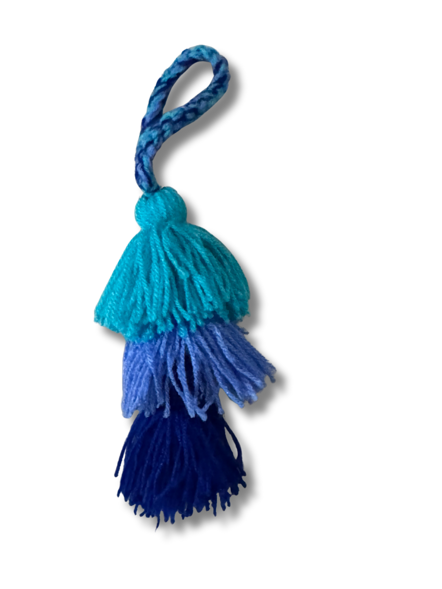 Blueberry Pom Poms