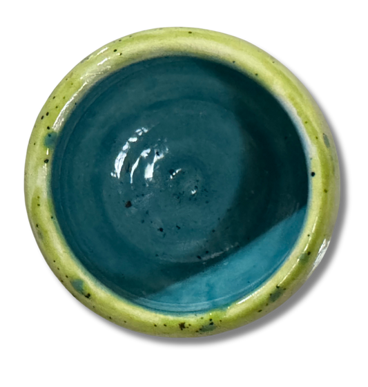 Kiwi Ceramic Mini Planter