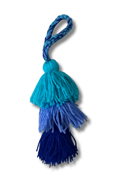 Blueberry Pom Poms