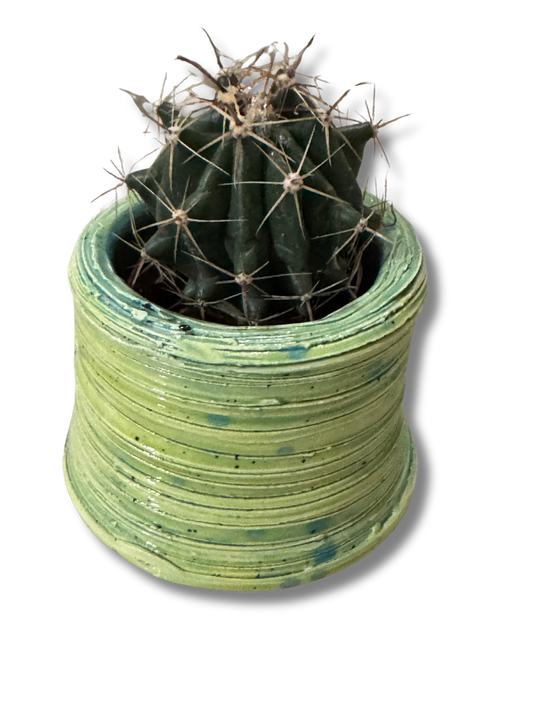 Rayao Ceramic Mini Planter