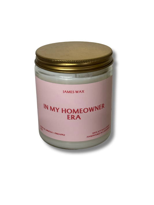 In my Homeowner Era Candle